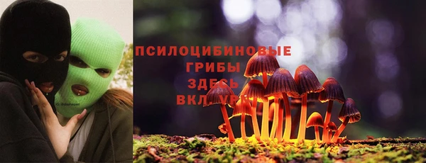a pvp Пестово