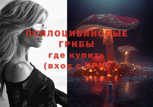 гидра Пересвет