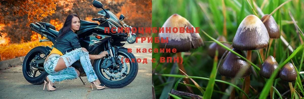 a pvp Пестово